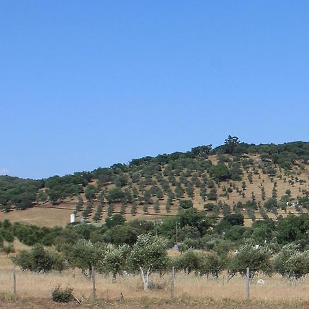 Girassol Alojamento Local Montemor-o-Novo Kültér fotó