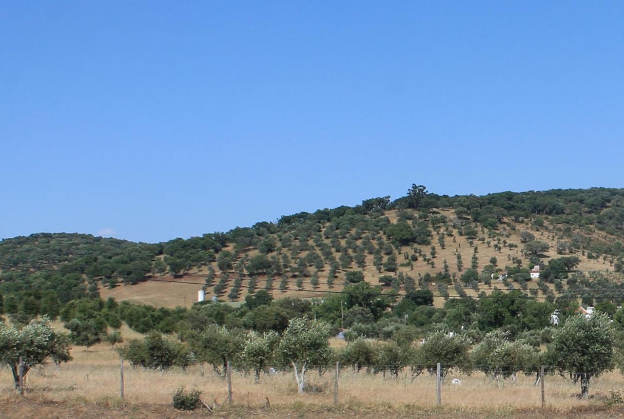 Girassol Alojamento Local Montemor-o-Novo Kültér fotó